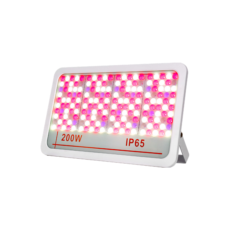 LED flomlys