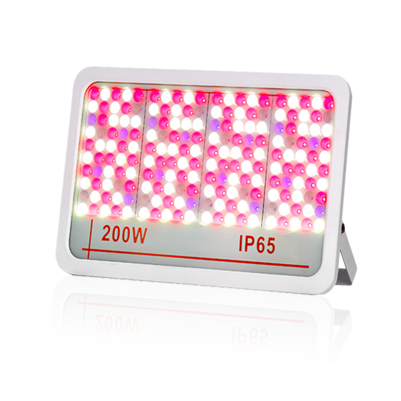 LED flomlys